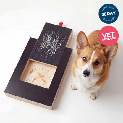 playnails - nail scratch board