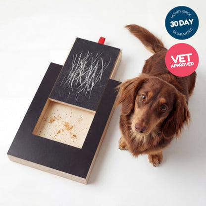 playnails - nail scratch board