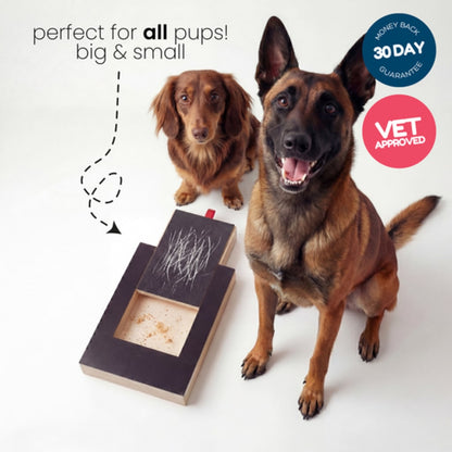 playnails - nail scratch board